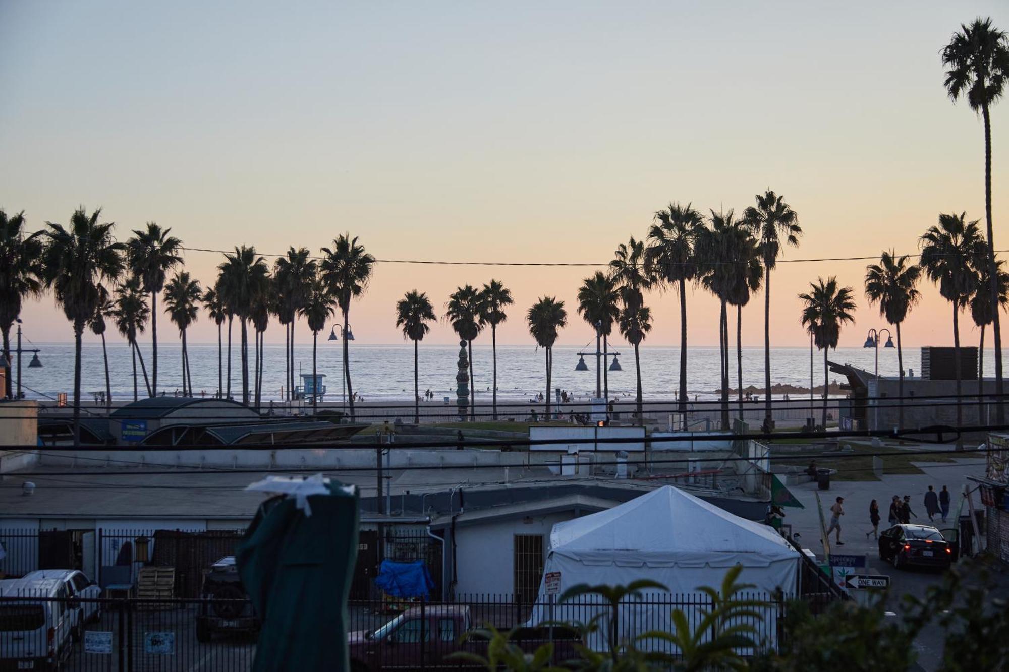 The Redline Venice — Photos 1